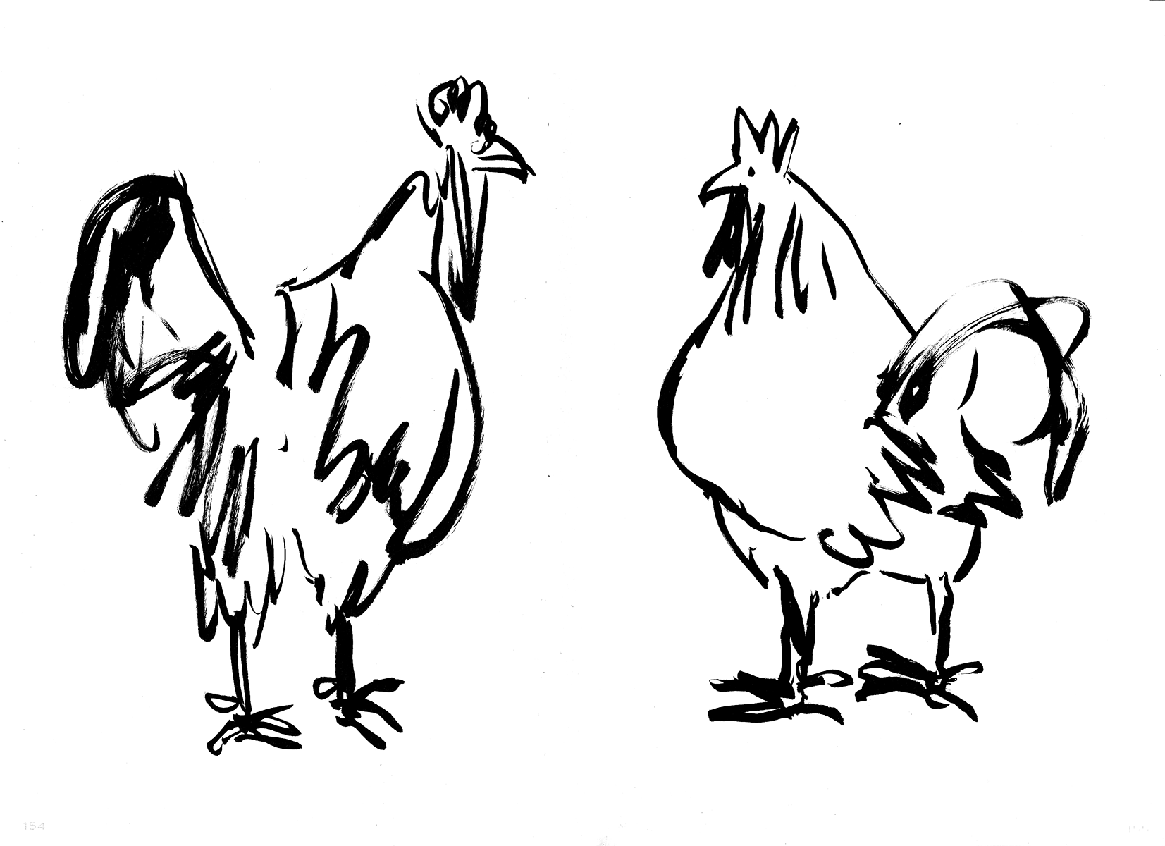 'Chooks', ink on paper, 2026