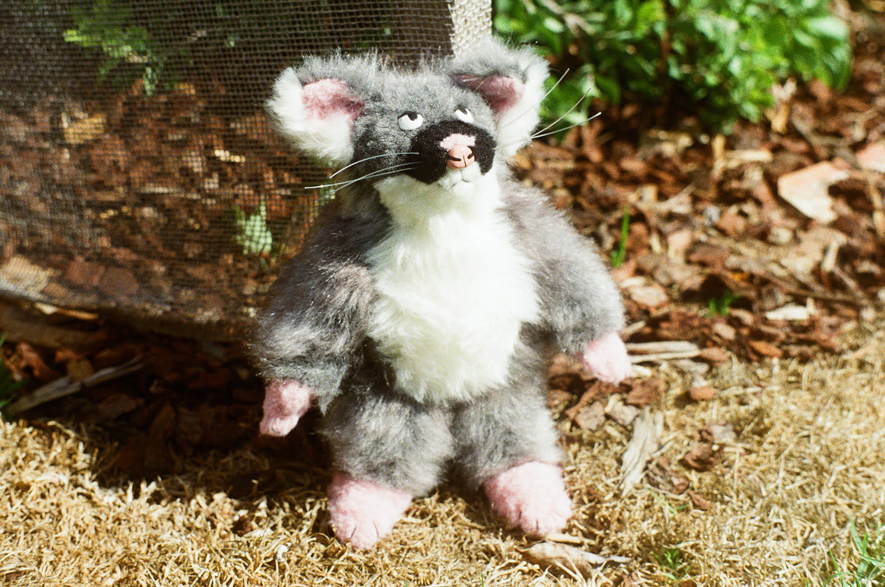 'Possum', faux fur, ceramic, fishing line, polyethylene pellets and polyester fibre, 2026