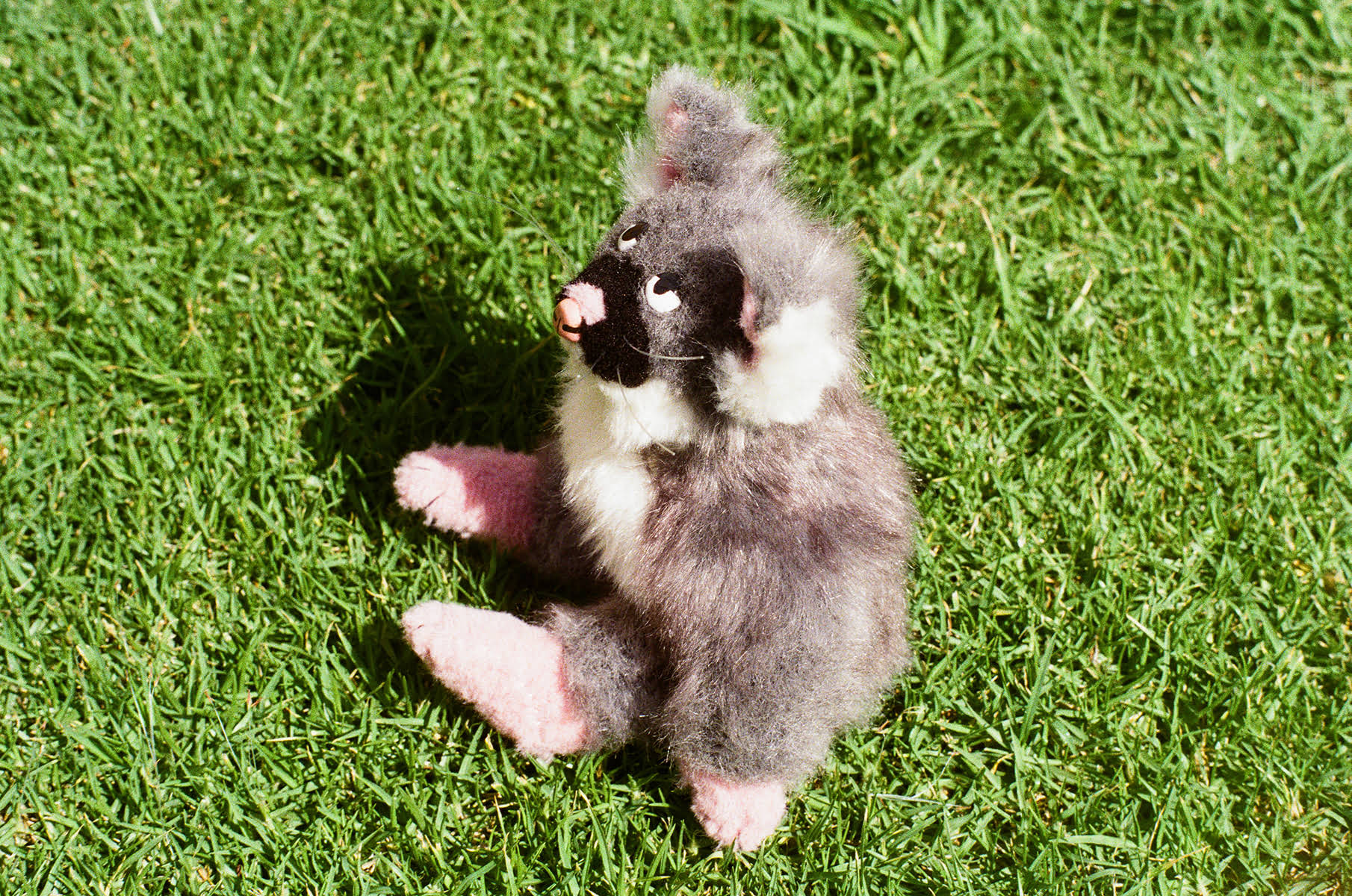 'Possum', faux fur, ceramic, fishing line, polyethylene pellets and polyester fibre, 2026