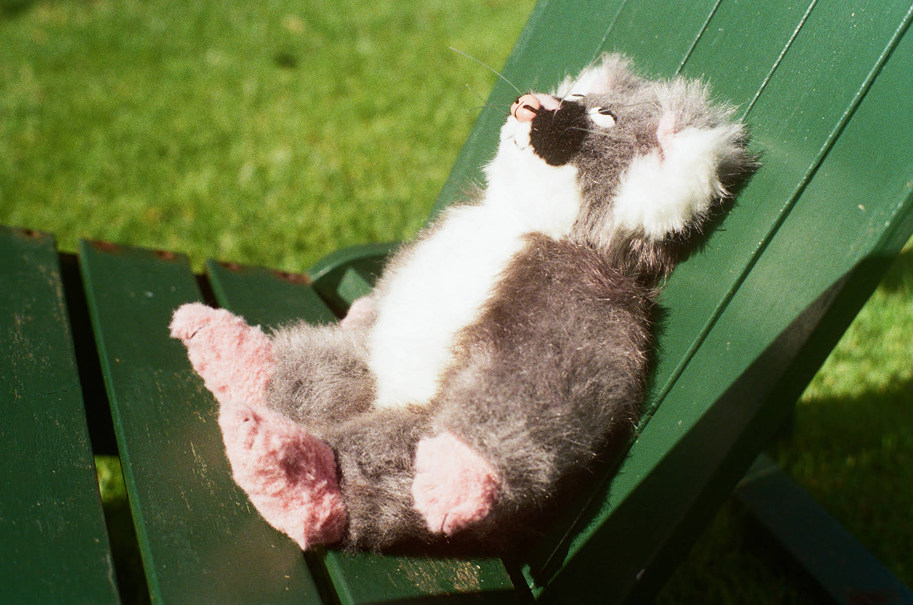 'Possum', faux fur, ceramic, fishing line, polyethylene pellets and polyester fibre, 2026