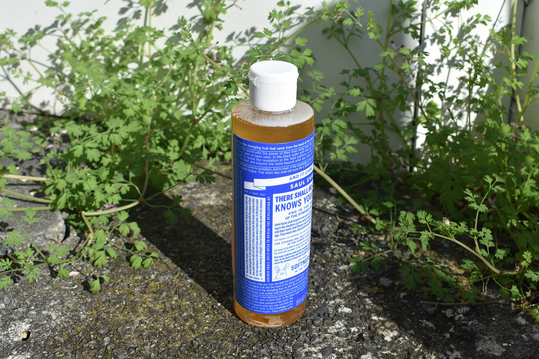 'Sermon', adhesive label on soap bottle, 2024