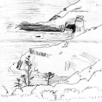 bird rock thumbnail