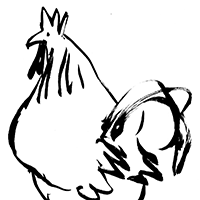 chooks thumbnail