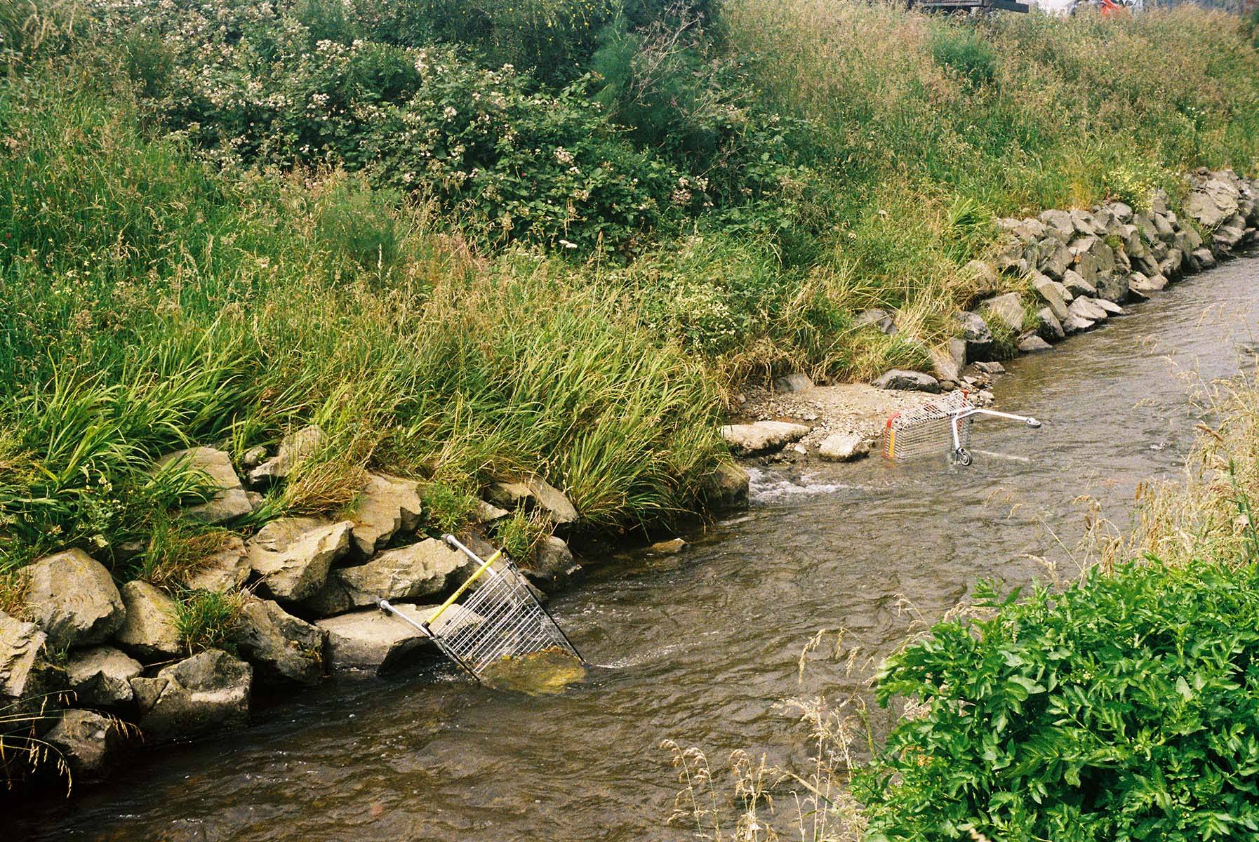 Trollies in Stream