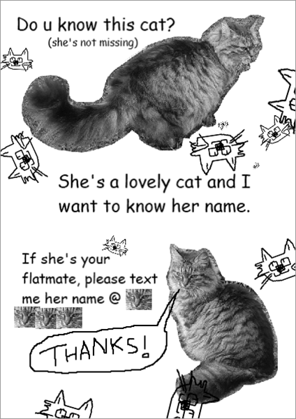 missing cat poster