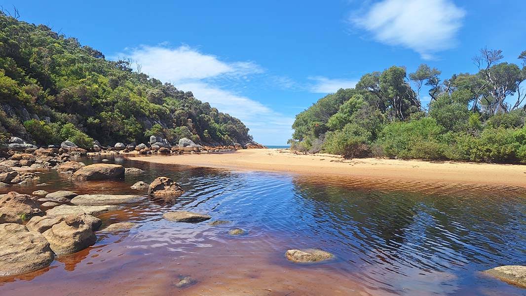 Miranda Creek at low tide
