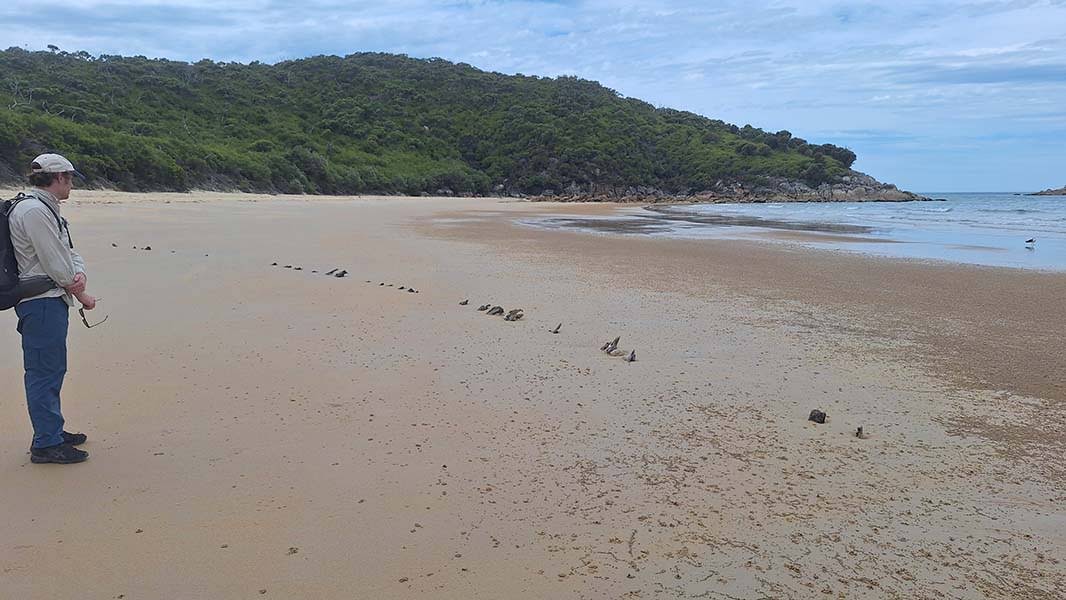 Shipwreck at Miranda Bay