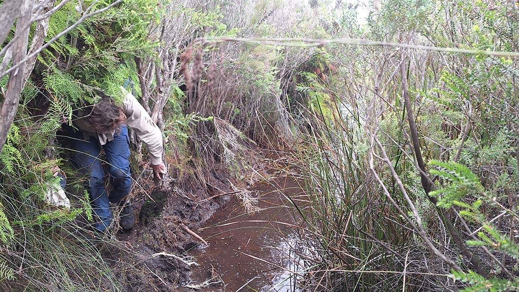 Ben crouched by a bog