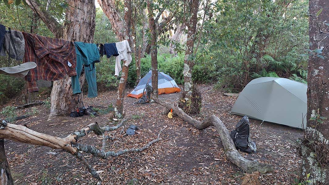 Camp at Lower Barry Creek