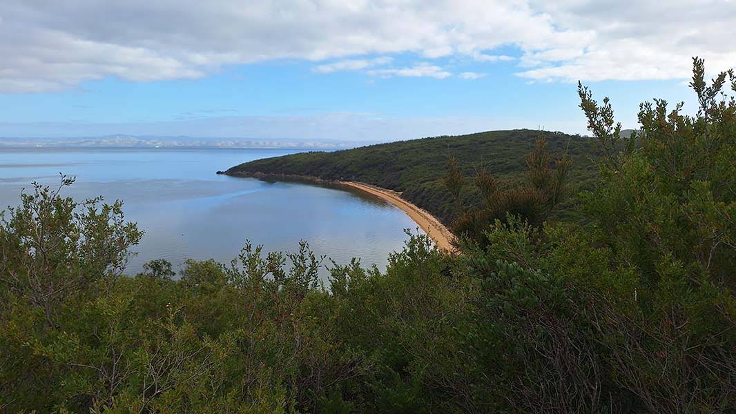 Tin Mine Cove from the track