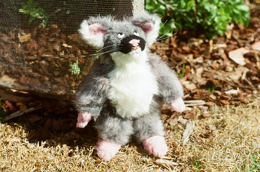 finished possum image 01