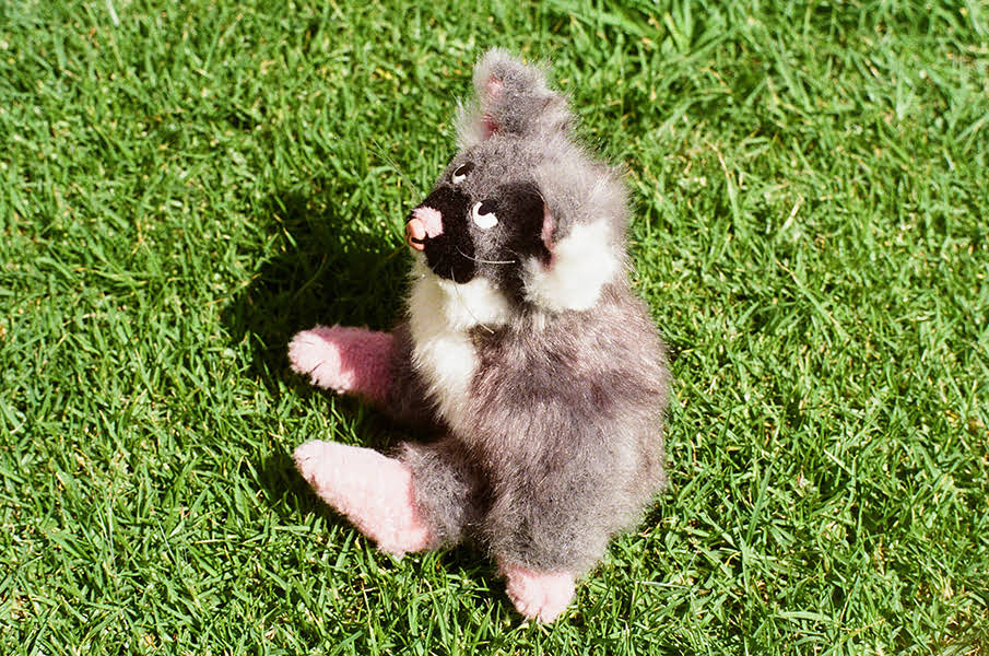 finished possum image 02