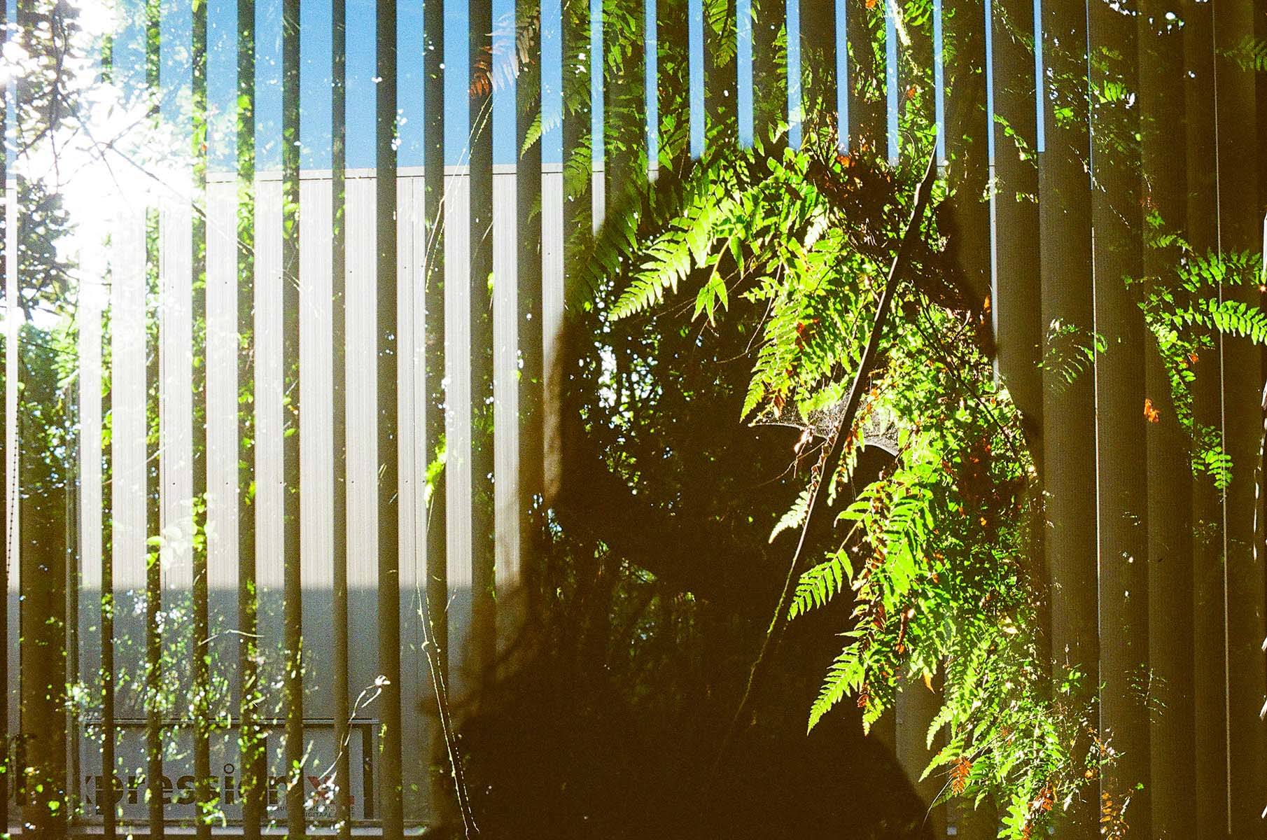 Double exposure photo #1