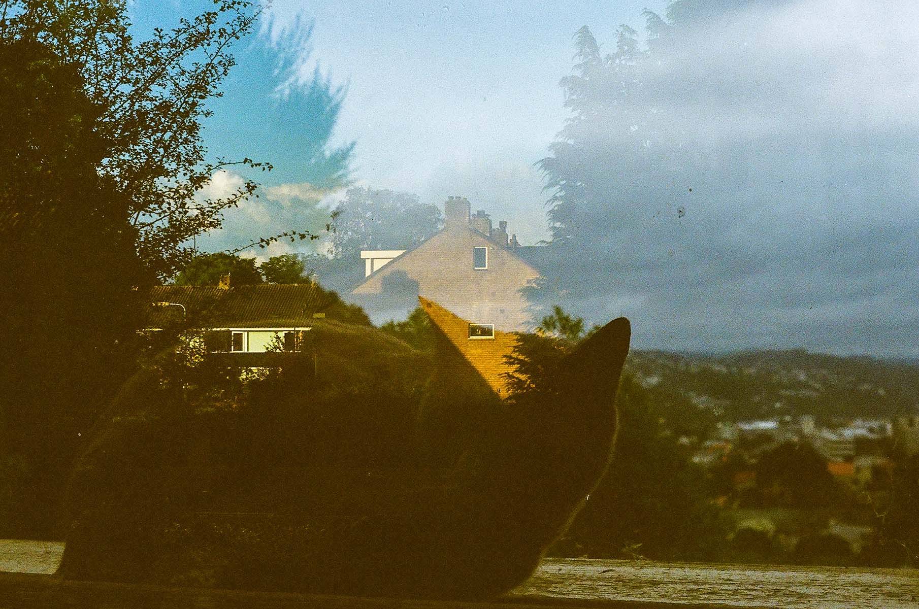 Double exposure photo #2