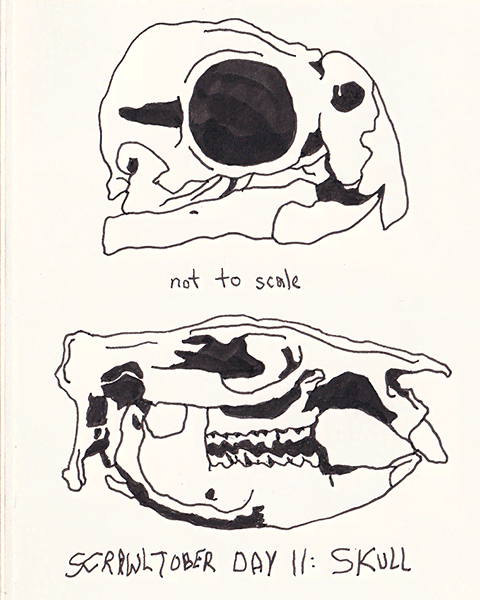 Scrawltober 2022 Day 11 - Skull