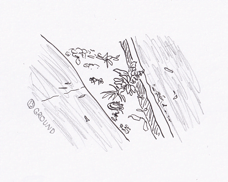 Scrawlvember 2023 Day 13 - Ground