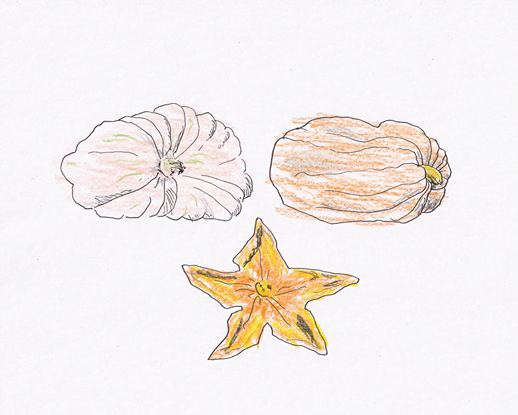 Scrawlvember 2023 Day 26 - Grow