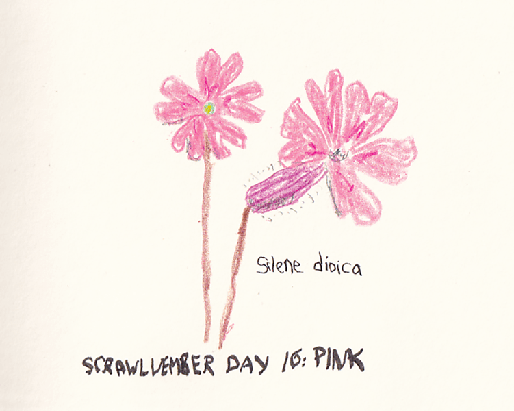 Scrawlvember 2024 Day 16 - Pink