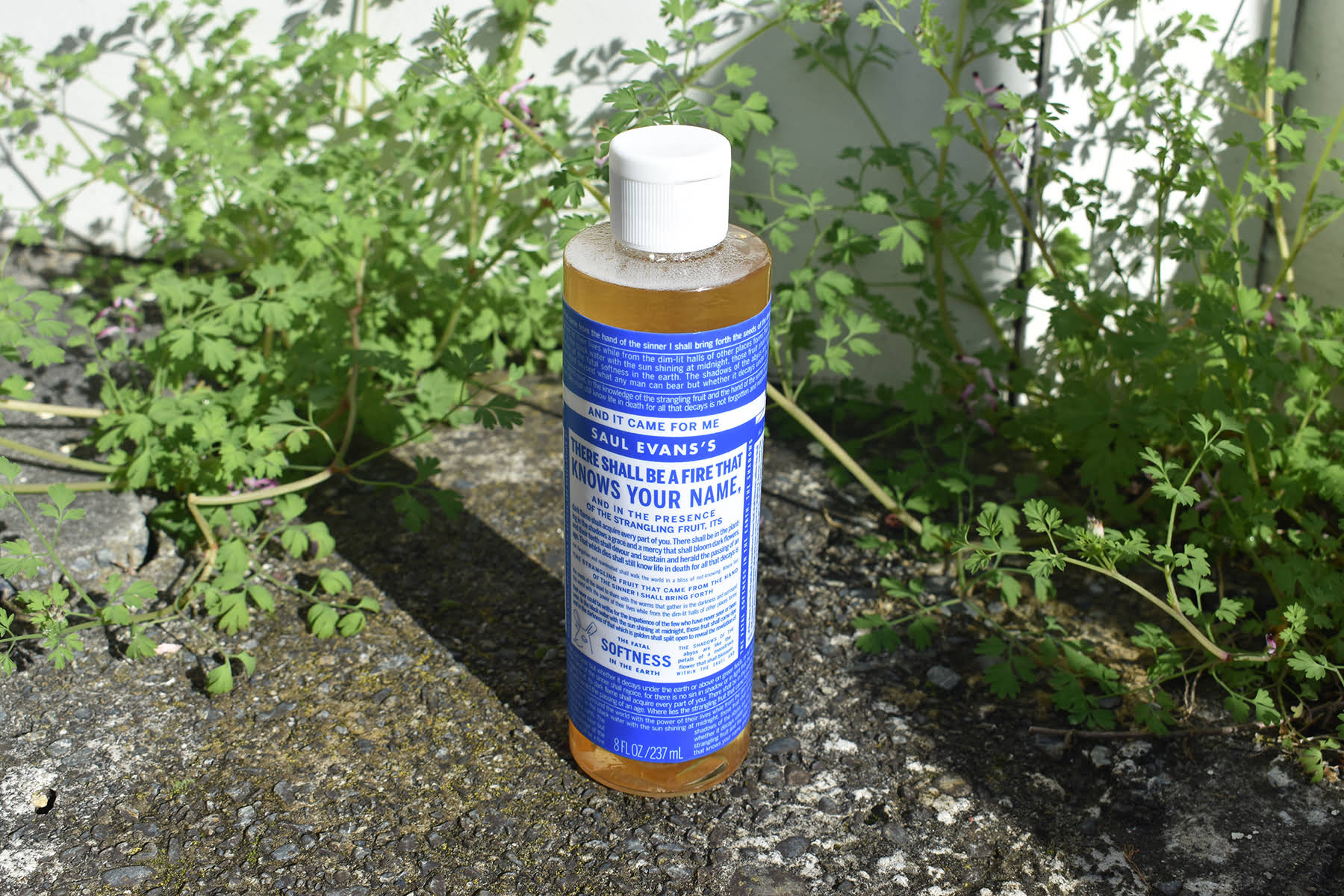 'Sermon', adhesive label on soap bottle, 2024