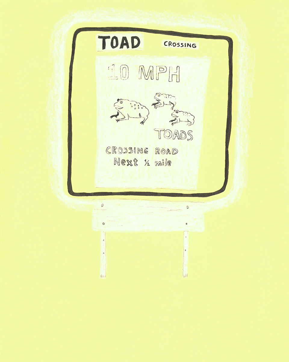 'Untitled (Toad)', ink and coloured pencil on paper, 2023