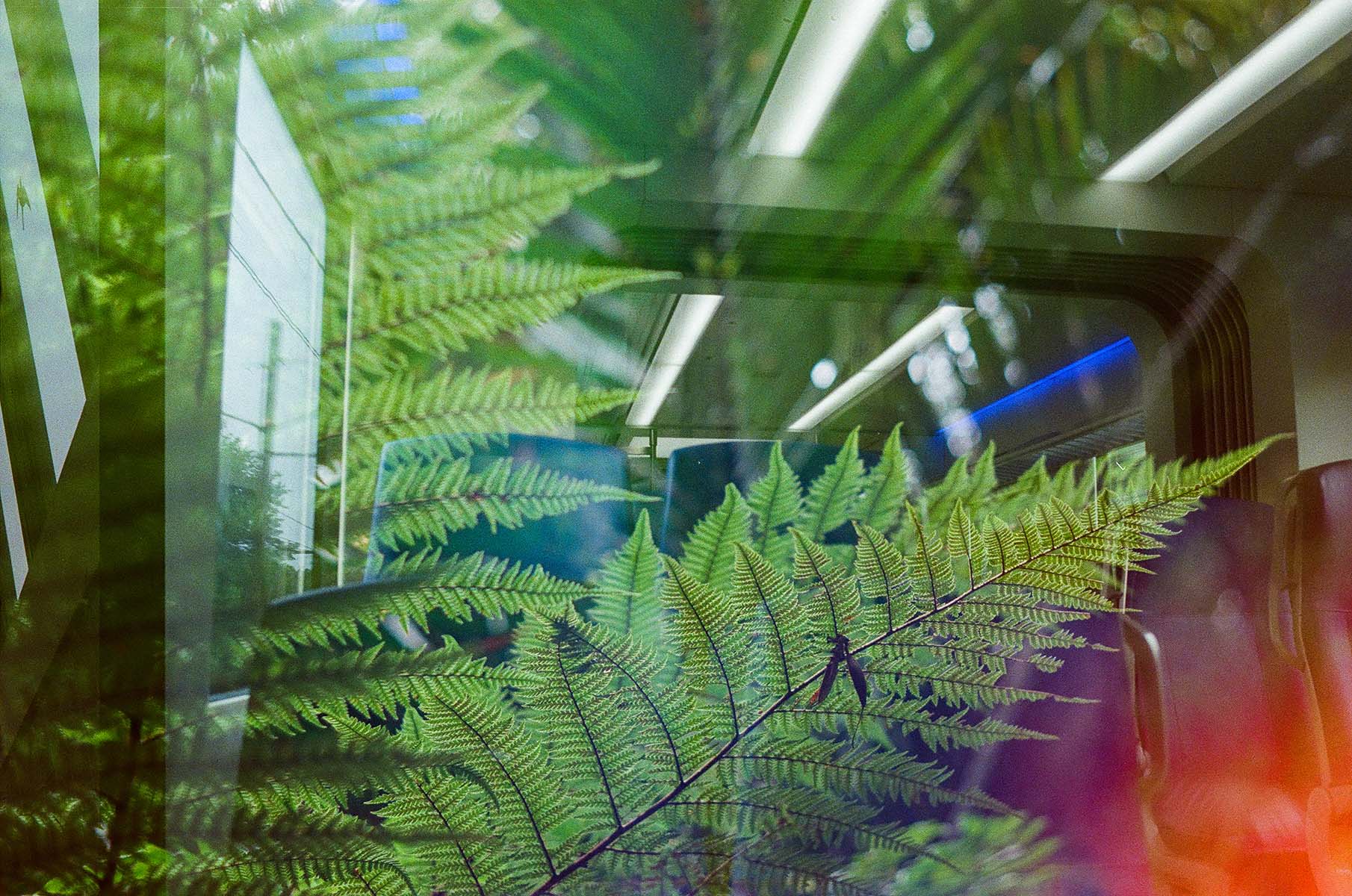 Double exposure photo #13