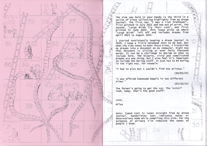 Border Collie sample 1