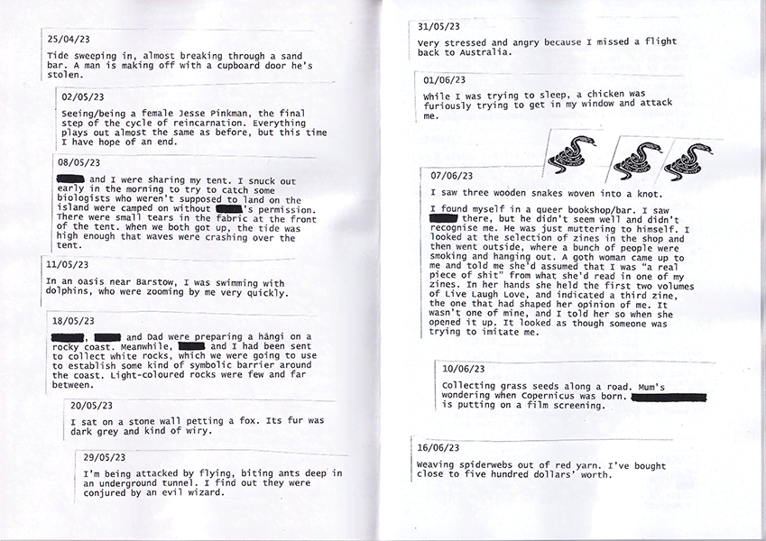 Border Collie sample 2