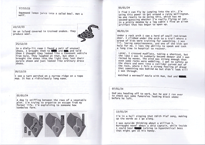 Border Collie sample 3