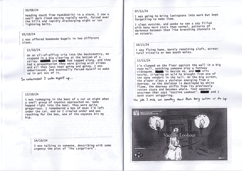 Border Collie sample 4