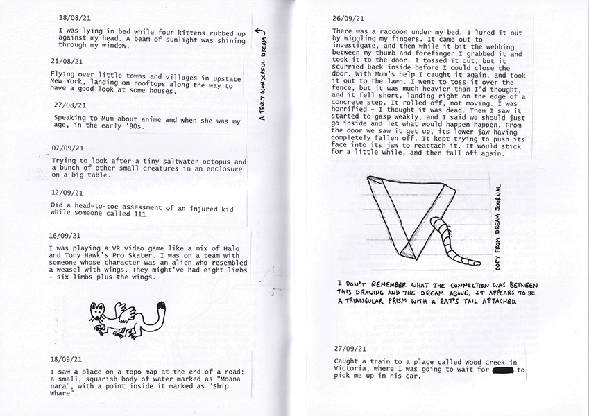 Large Birds sample 1