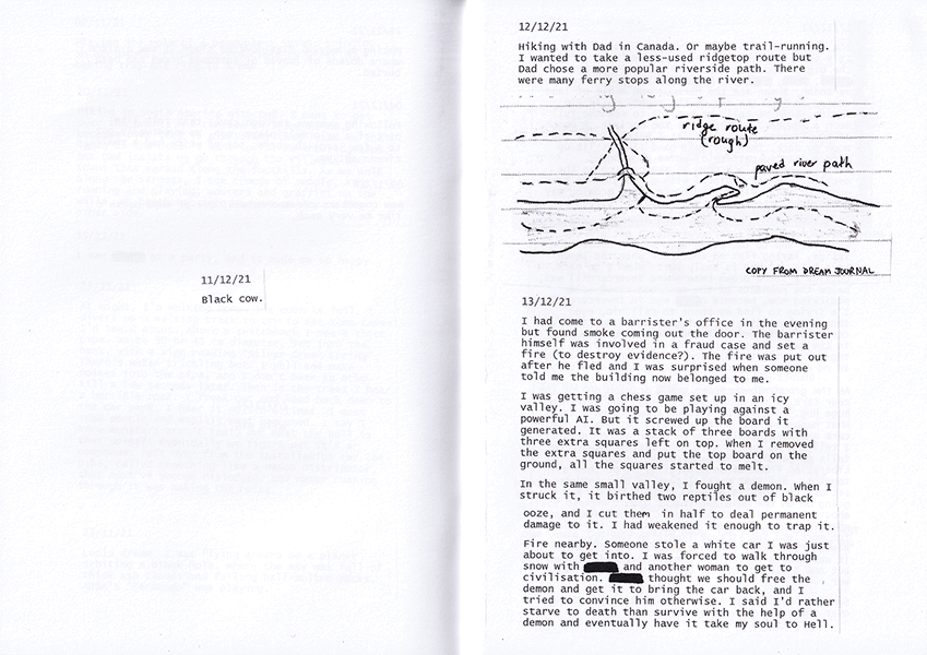 Large Birds sample 2