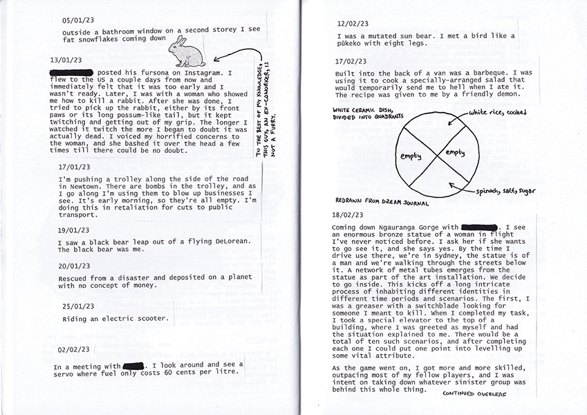Large Birds sample 3