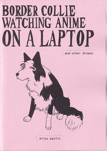 Border Collie cover
