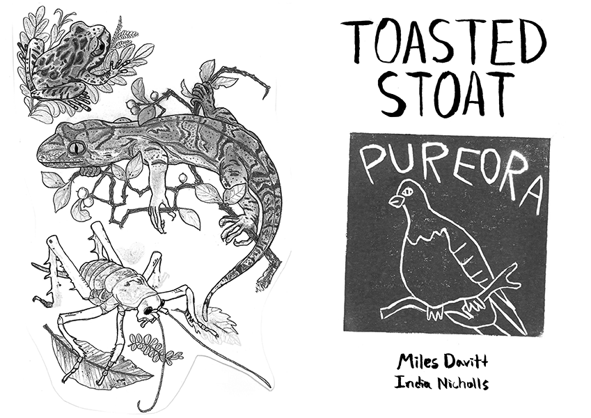 Toasted Stoat pages 2, 3